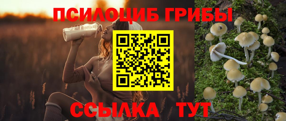 Псилоцибиновые грибы ЛСД  Вход с VPN  Клинцы 