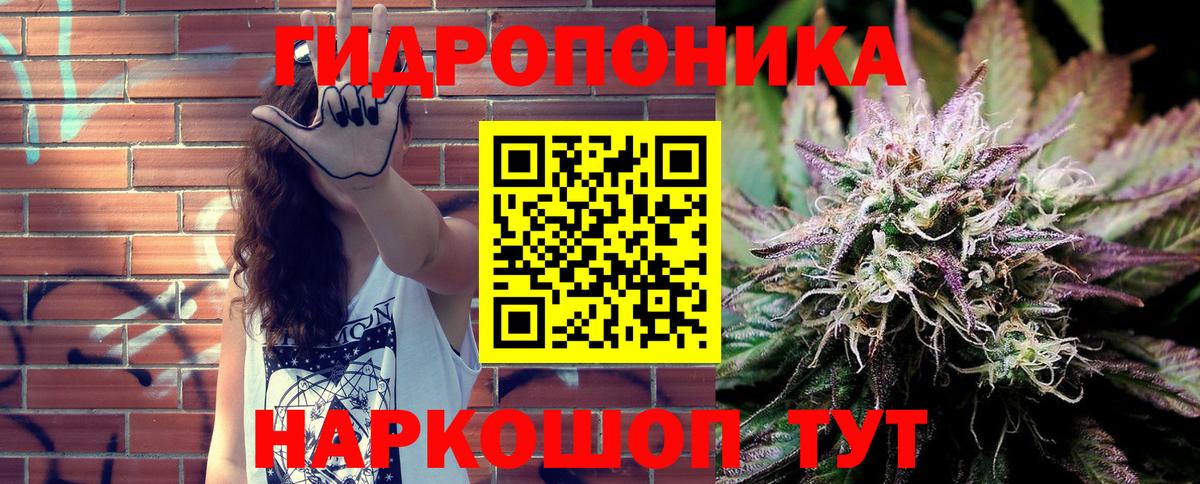Конопля Клинцы